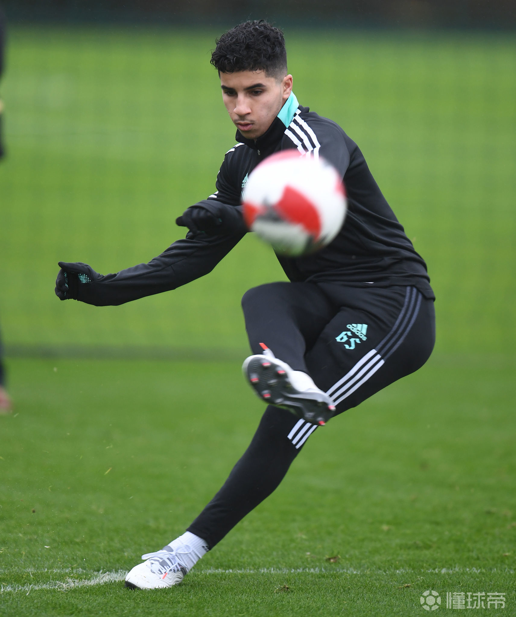 关于转会期多伦多猛龙备战足总杯,外线爆发细节曝光,震撼外界,高层口径保持一致的信息 关于转会期多伦多猛龙备战足总杯,外线爆发细节曝光,震撼外界,高层口径保持一致的信息