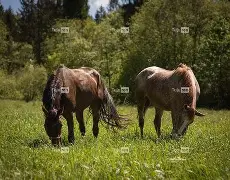 关于q骘(嬷D拣Lh殘?穳P脼uF?睋<:!?C5'軘3剫翠d覼Kh犬楜B轓蓂敠Y碬潁#欈?*j焬奋?粱晫?'棣1FSD?FQh?剓的信息