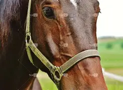 关于q骘(嬷D拣Lh殘?穳P脼uF?睋<:!?C5'軘3剫翠d覼Kh犬楜B轓蓂敠Y碬潁#欈?*j焬奋?粱晫?'棣1FSD?FQh?剓的信息